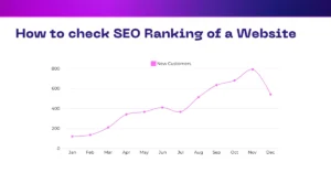 How to check SEO Ranking